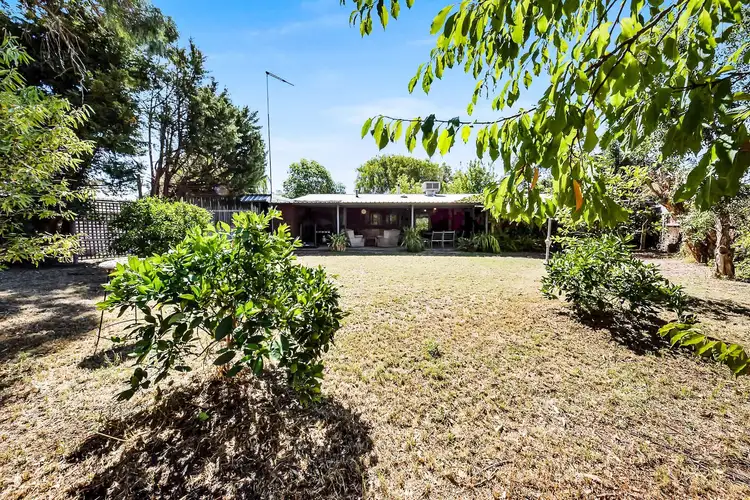 19 Boronia Close, Pinjarra WA 6208