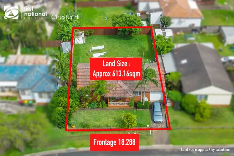 12 Burton Avenue, Chester Hill NSW 2162