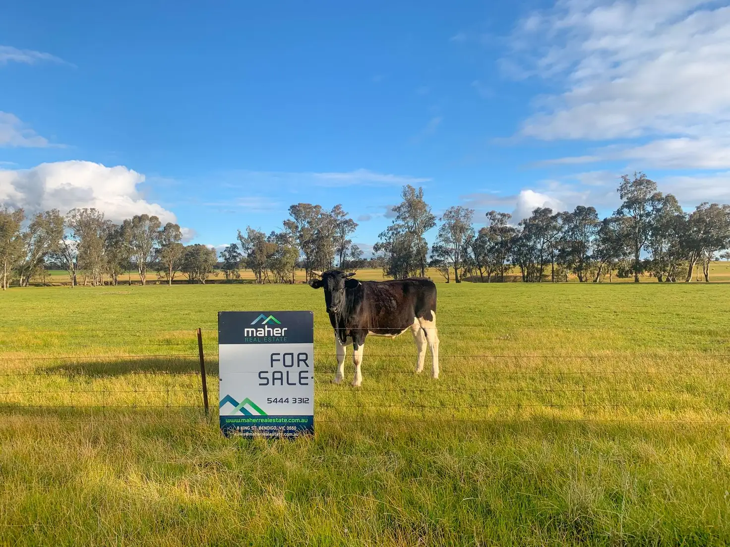 Main view of Homely land listing, 199 Arnold West Road, Arnold West VIC 3551