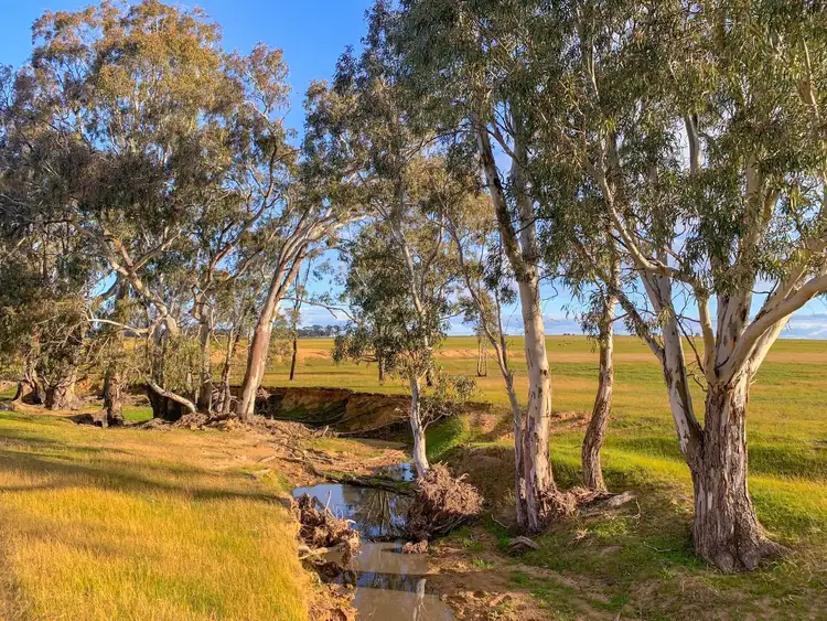 Sixth view of Homely land listing, 199 Arnold West Road, Arnold West VIC 3551