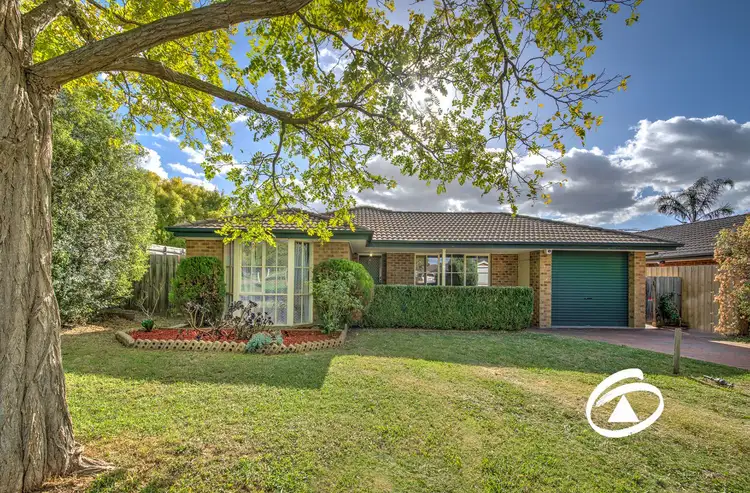 Main view of Homely house listing, 19 Geoffrey Court, Narre Warren VIC 3805