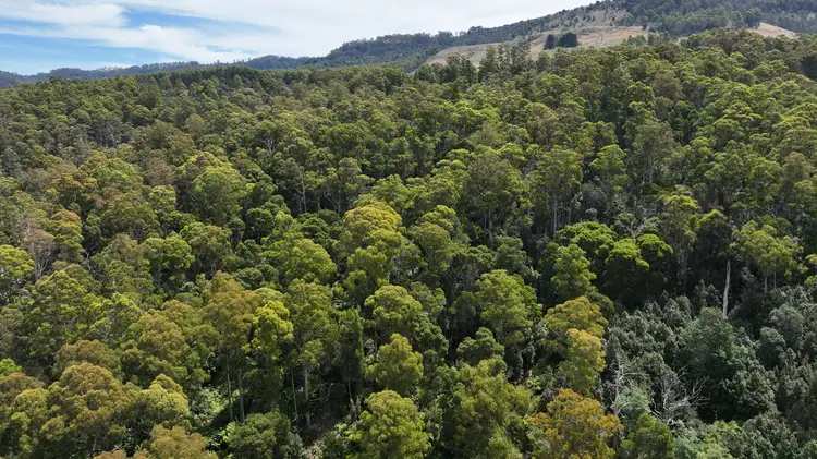 Seventh view of Homely rural property listing, Lot 5 Echo Valley Rd, Liena TAS 7304