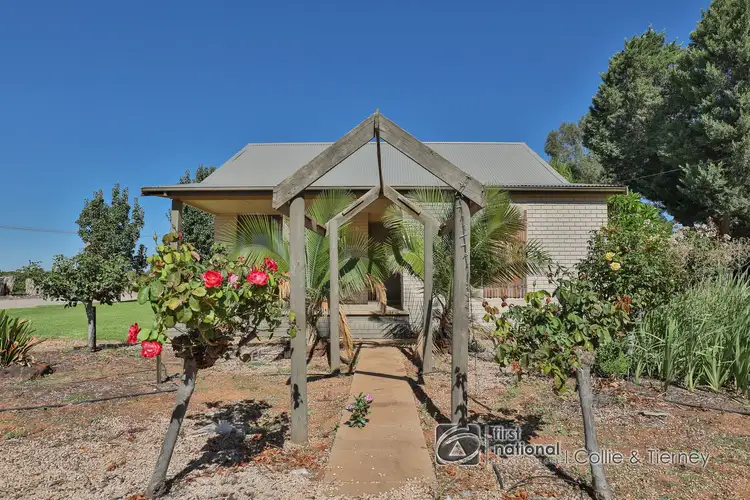 Main view of Homely house listing, 53 Murray Avenue, Red Cliffs VIC 3496