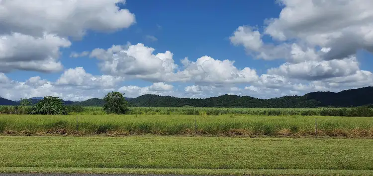 Second view of Homely rural property listing, 2000 Innisfail Japoon Road, Bombeeta QLD 4871