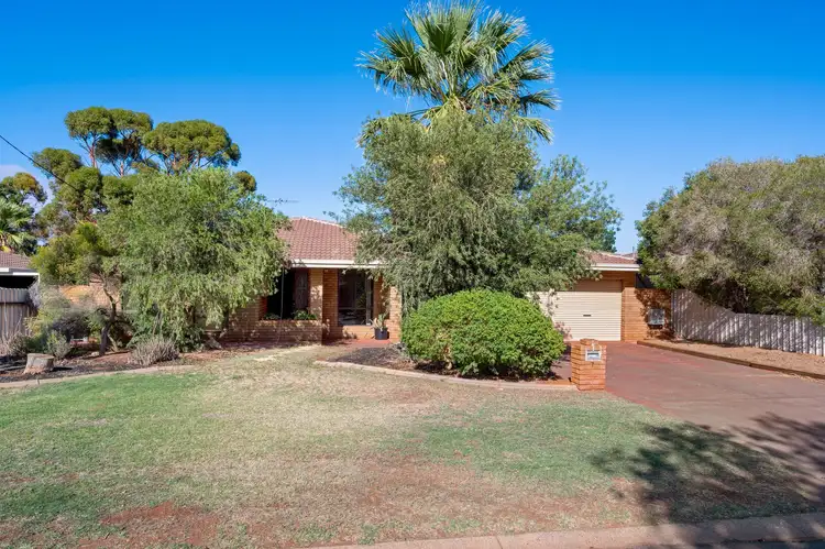 7 Littlewood Place, West Lamington WA 6430