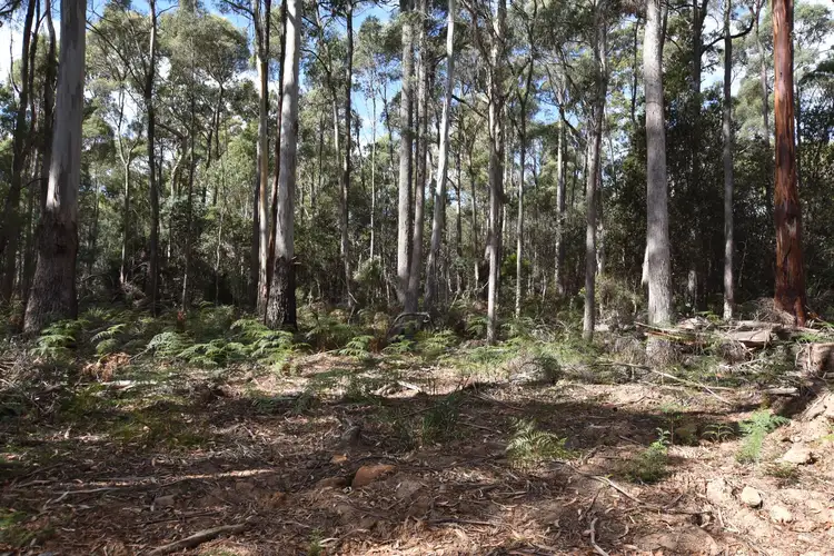 366 River Road, Reedy Marsh TAS 7304