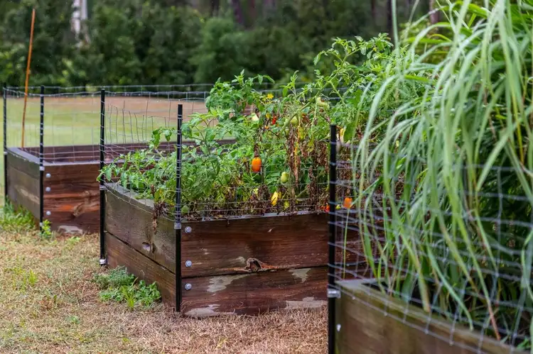 Fourth view of Homely land listing, 23 Bailey Street, Nambour QLD 4560