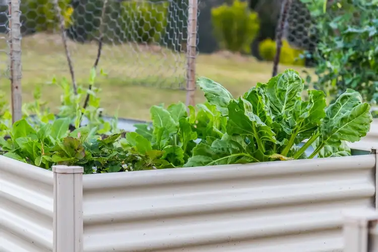 Fifth view of Homely land listing, 23 Bailey Street, Nambour QLD 4560