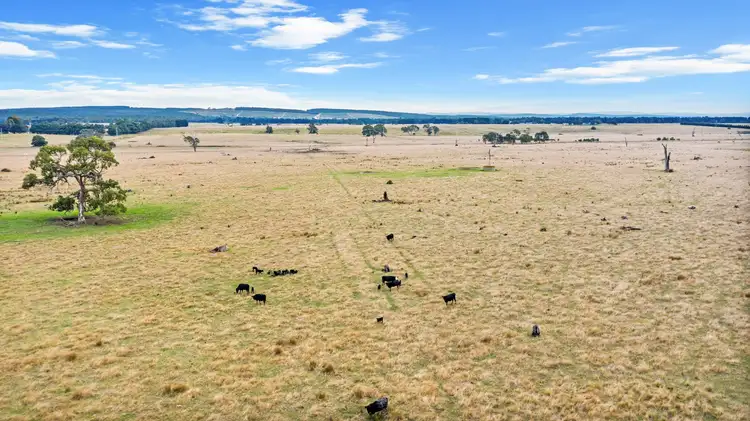 Sixth view of Homely rural property listing, Lot 52 Mullocky Lane, Rosedale VIC 3847