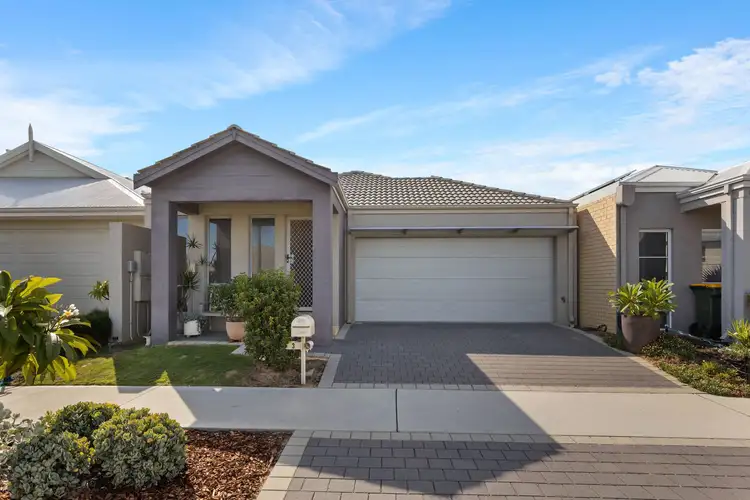3 Needletail Avenue, Alkimos WA 6038