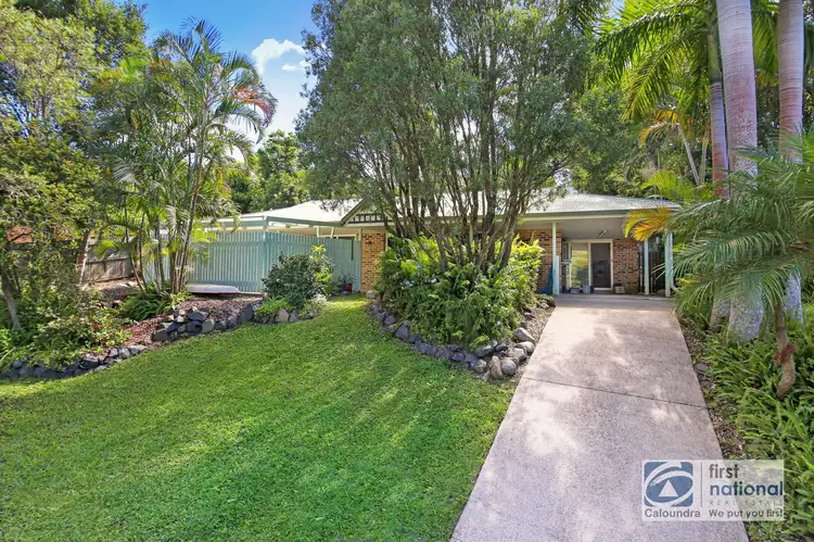 13 Brigalow Street, Little Mountain QLD 4551