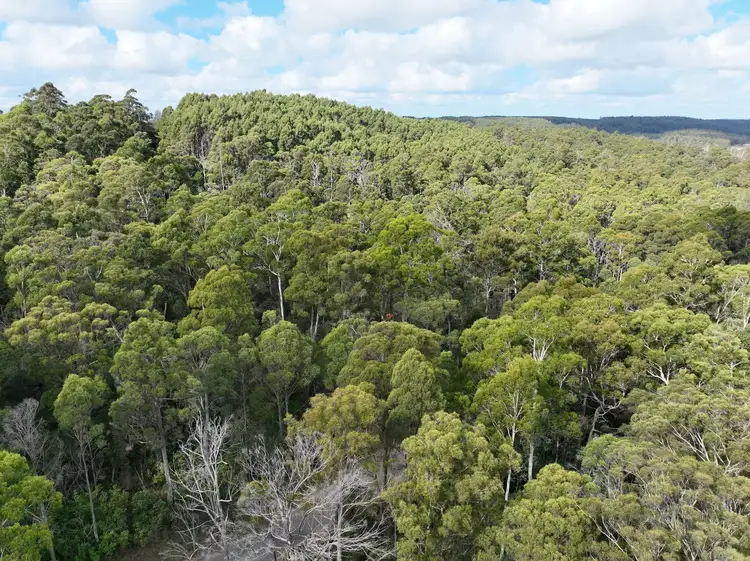 Fourth view of Homely rural property listing, Part of 190 Porters Bridge Road, Exton TAS 7303
