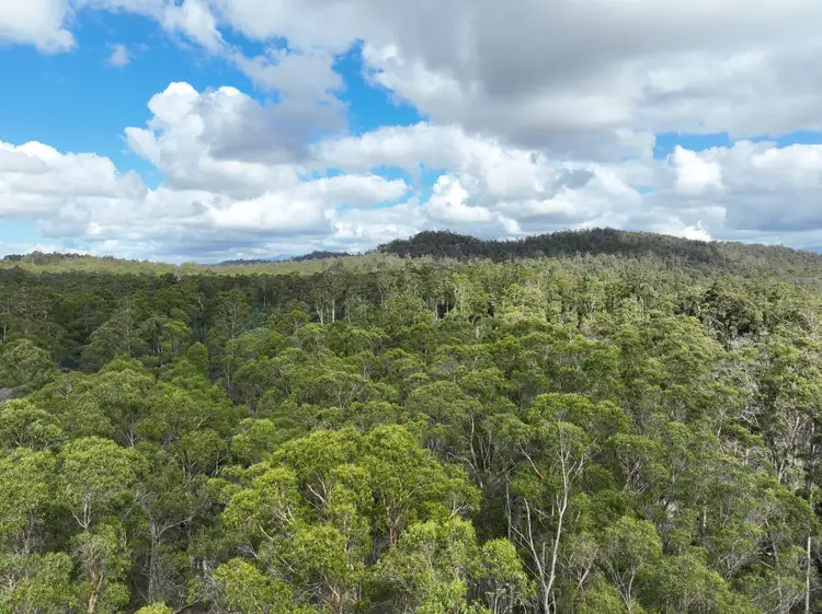 Sixth view of Homely rural property listing, Part of 190 Porters Bridge Road, Exton TAS 7303