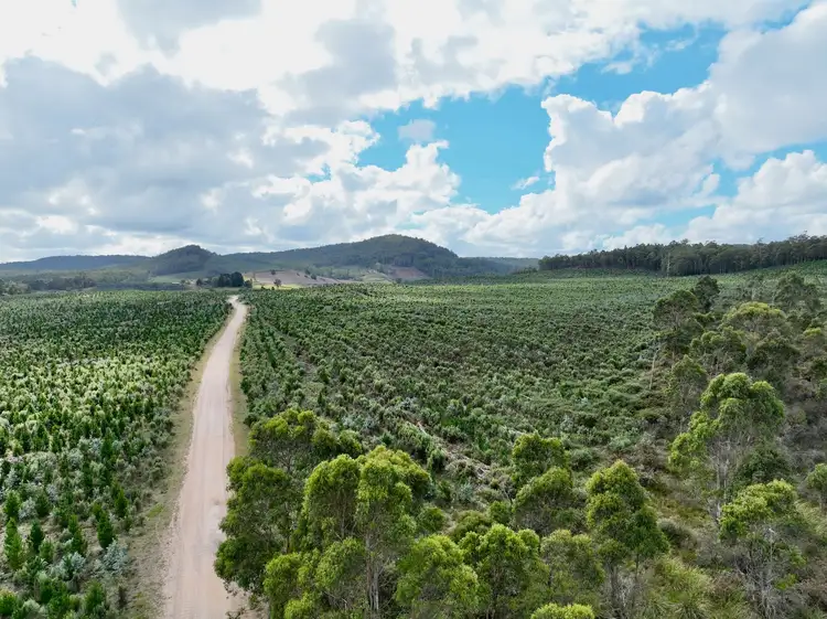 Seventh view of Homely rural property listing, Part of 190 Porters Bridge Road, Exton TAS 7303