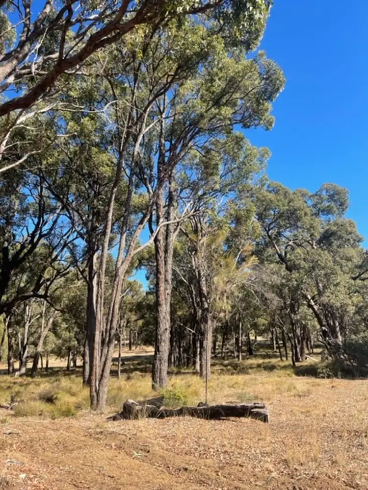 Second view of Homely land listing, 86 Fairway Place, Boddington WA 6390