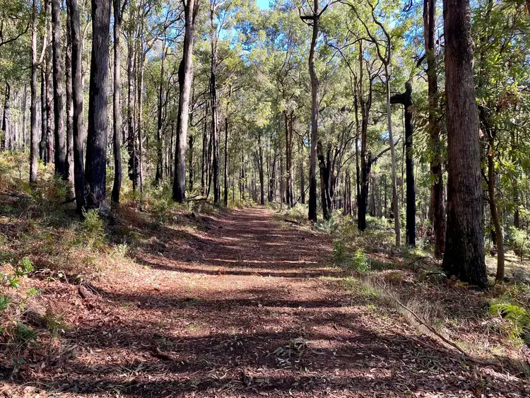 Sixth view of Homely rural property listing, Lot 22 Oro Road, Dwellingup WA 6213