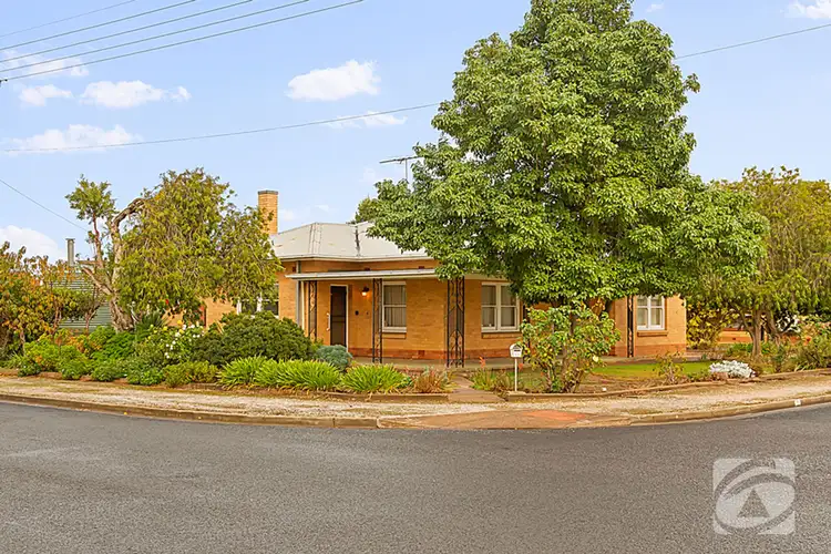 Third view of Homely house listing, 11 Francis Street East, Nuriootpa SA 5355