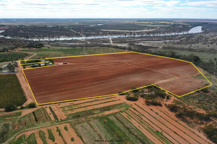 Main view of Homely rural property listing, 3 Tickell Lane, Red Cliffs VIC 3496