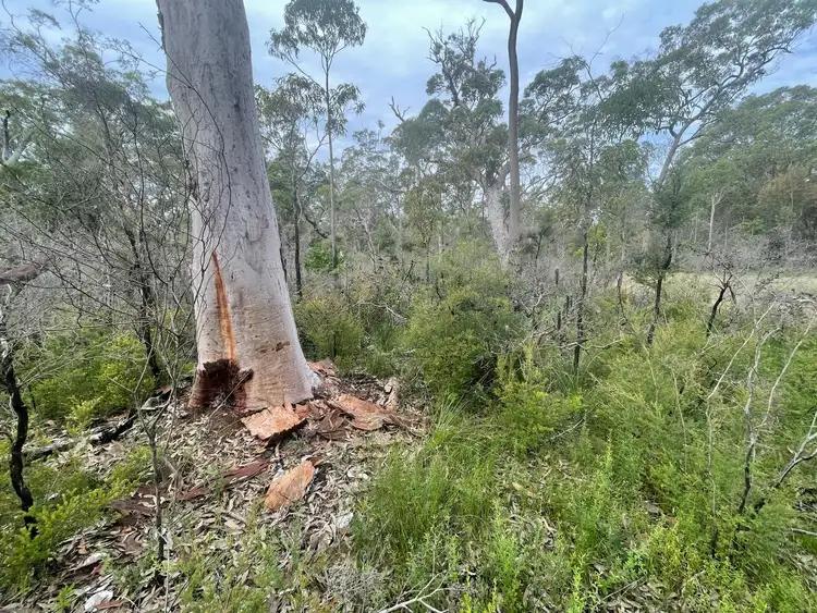 Fourth view of Homely land listing, Lot 2711 Carrington Road, North Arm Cove NSW 2324