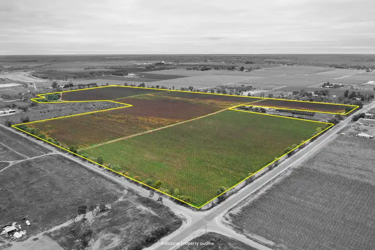 First Street, Merbein VIC 3505