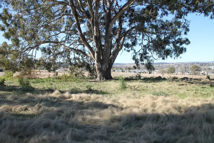 54A Neagles Lane, Tenterfield NSW 2372