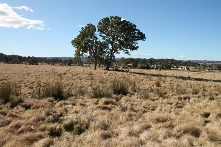 Sixth view of Homely land listing, 54A Neagles Lane, Tenterfield NSW 2372