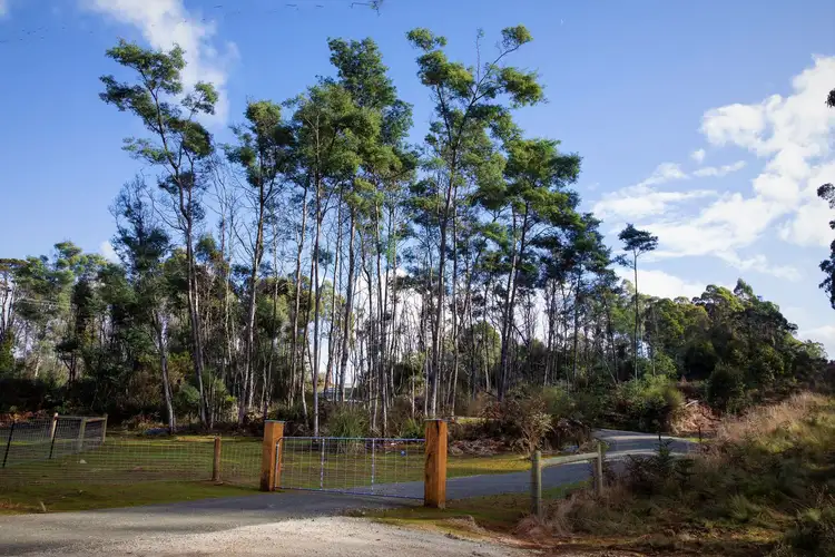 Main view of Homely land listing, Lot 2, 239 Wadleys Rd, Reedy Marsh TAS 7304