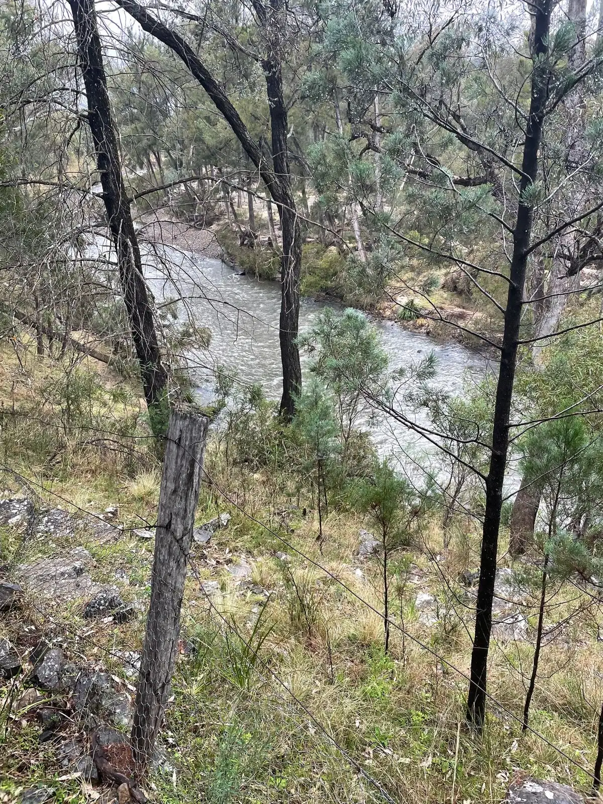 Main view of Homely rural property listing, Lot 47 Mole River Road, Tenterfield NSW 2372