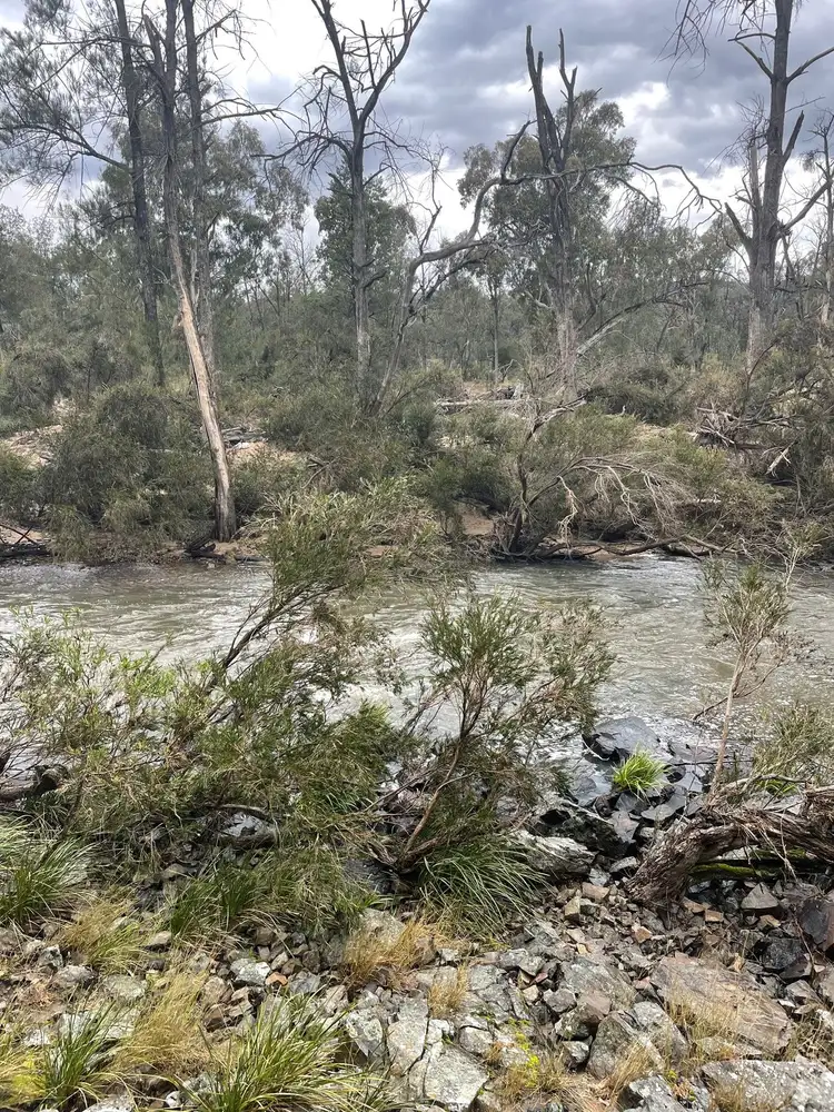 Second view of Homely rural property listing, Lot 47 Mole River Road, Tenterfield NSW 2372