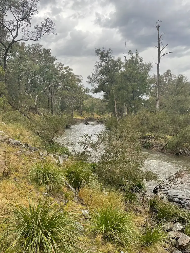 Fourth view of Homely rural property listing, Lot 47 Mole River Road, Tenterfield NSW 2372