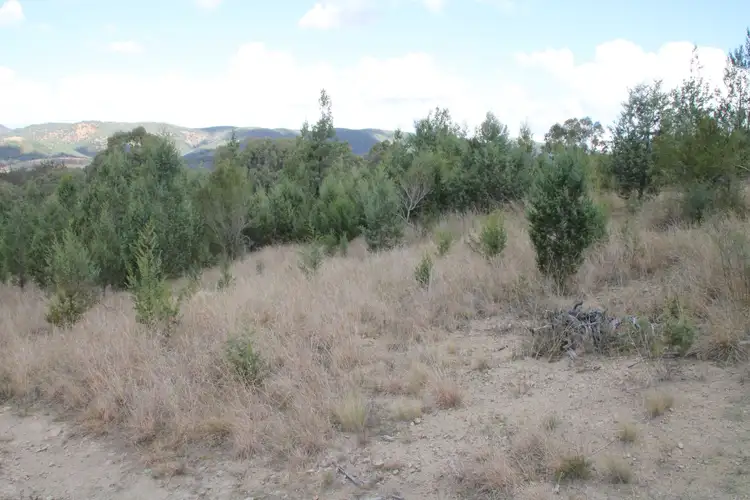 Fifth view of Homely rural property listing, Lot 47 Mole River Road, Tenterfield NSW 2372