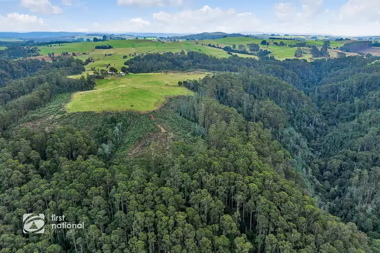 Fifth view of Homely rural property listing, 410 East Yolla Road, Yolla TAS 7325