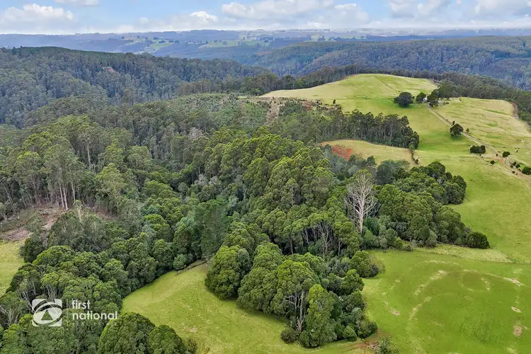 Sixth view of Homely rural property listing, 410 East Yolla Road, Yolla TAS 7325