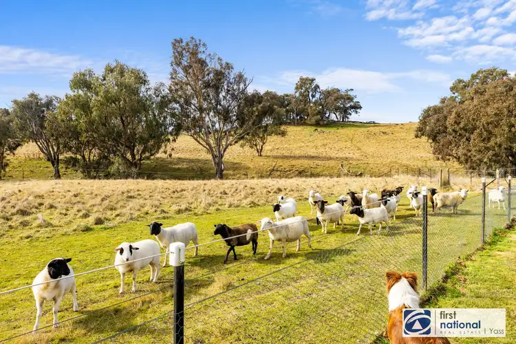 Fifth view of Homely rural property listing, 1001 Black Range Road, Bowning NSW 2582