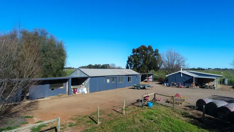 Fourth view of Homely rural property listing, 1596 Boothroyds Road, Numurkah VIC 3636