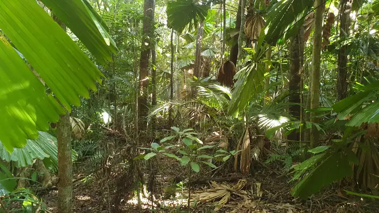 Sixth view of Homely land listing, LOT 88 GREENDALE COURT, Jubilee Heights QLD 4860