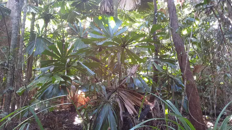 Seventh view of Homely land listing, LOT 88 GREENDALE COURT, Jubilee Heights QLD 4860