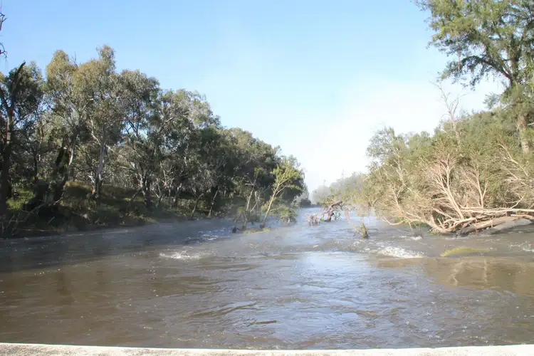 Part 11 Mingoola School Road, Tenterfield NSW 2372