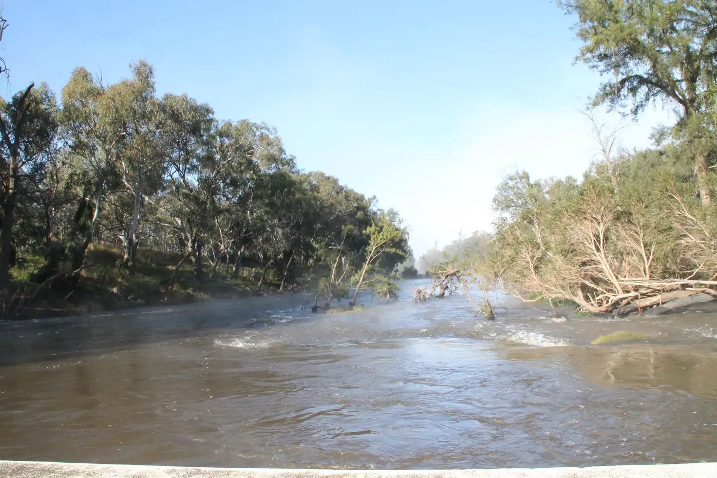 Main view of Homely rural property listing, Part 11 Mingoola School Road, Tenterfield NSW 2372