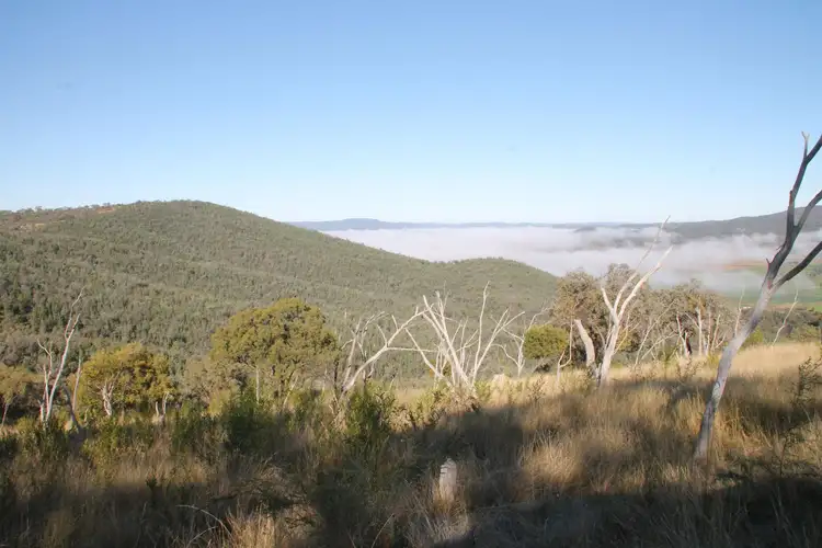 Fourth view of Homely rural property listing, Part 11 Mingoola School Road, Tenterfield NSW 2372