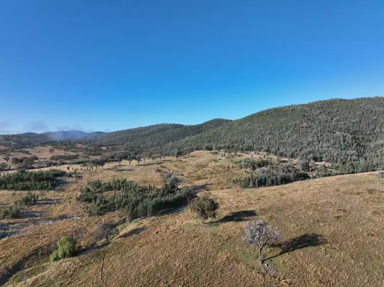 Fifth view of Homely rural property listing, Part 11 Mingoola School Road, Tenterfield NSW 2372