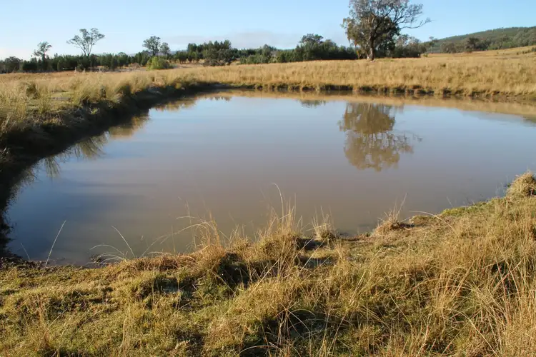 Sixth view of Homely rural property listing, Part 11 Mingoola School Road, Tenterfield NSW 2372