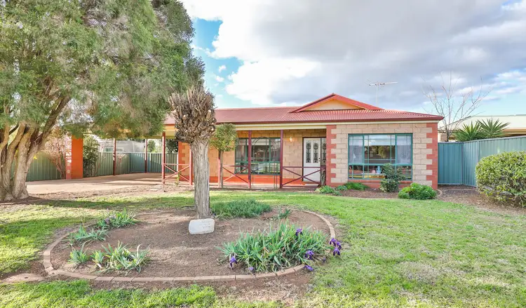 Main view of Homely house listing, 13 Nancy Court, Mildura VIC 3500