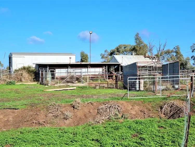 Seventh view of Homely rural property listing, 13 Flowerday Lane, Murrabit West VIC 3579