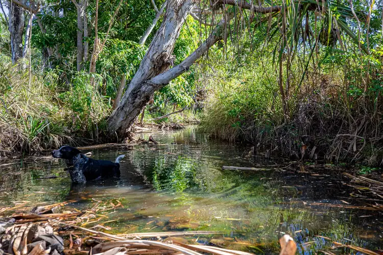 Fourth view of Homely rural property listing, 108 Smart Road, Koumala QLD 4738
