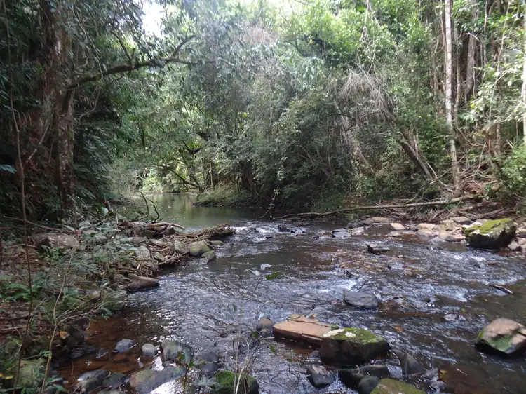391 Utchee Creek Road, Utchee Creek QLD 4871