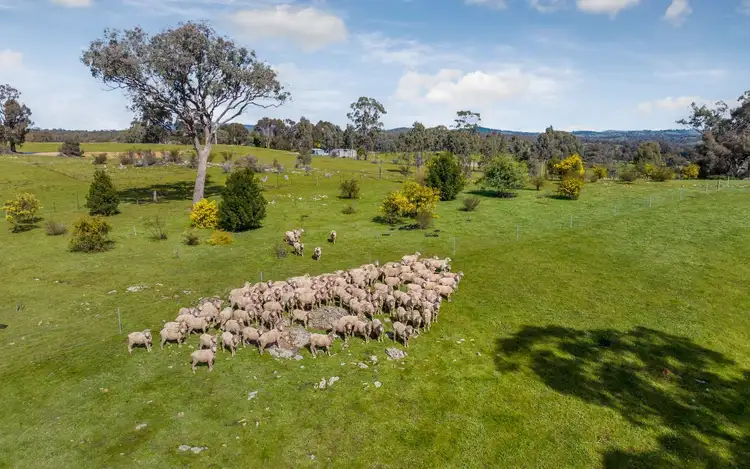 Seventh view of Homely land listing, Lot 6 Red Box Drive, Axe Creek VIC 3551