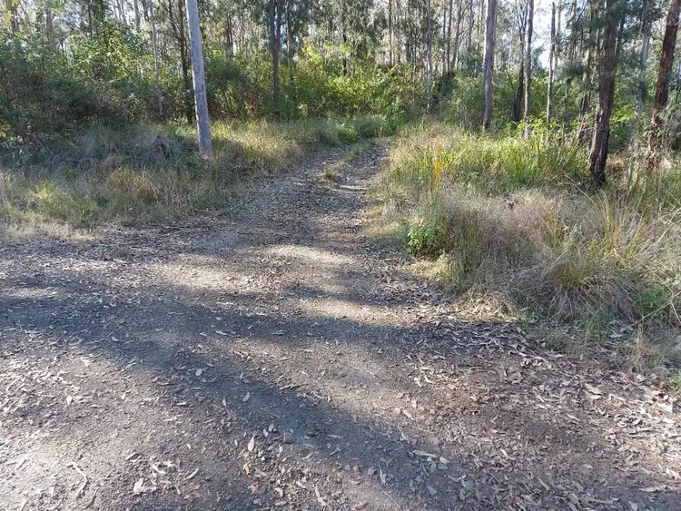 Second view of Homely rural property listing, 780 Sugarbag Road West, Drake NSW 2469