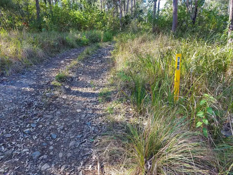 Third view of Homely rural property listing, 780 Sugarbag Road West, Drake NSW 2469