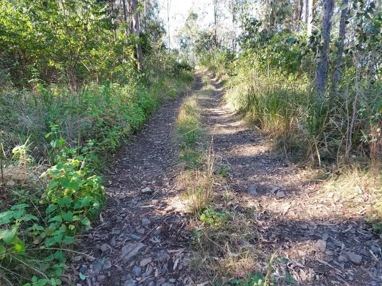 Fourth view of Homely rural property listing, 780 Sugarbag Road West, Drake NSW 2469
